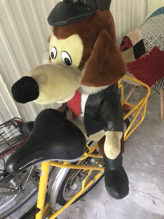 Bicicleta unicata