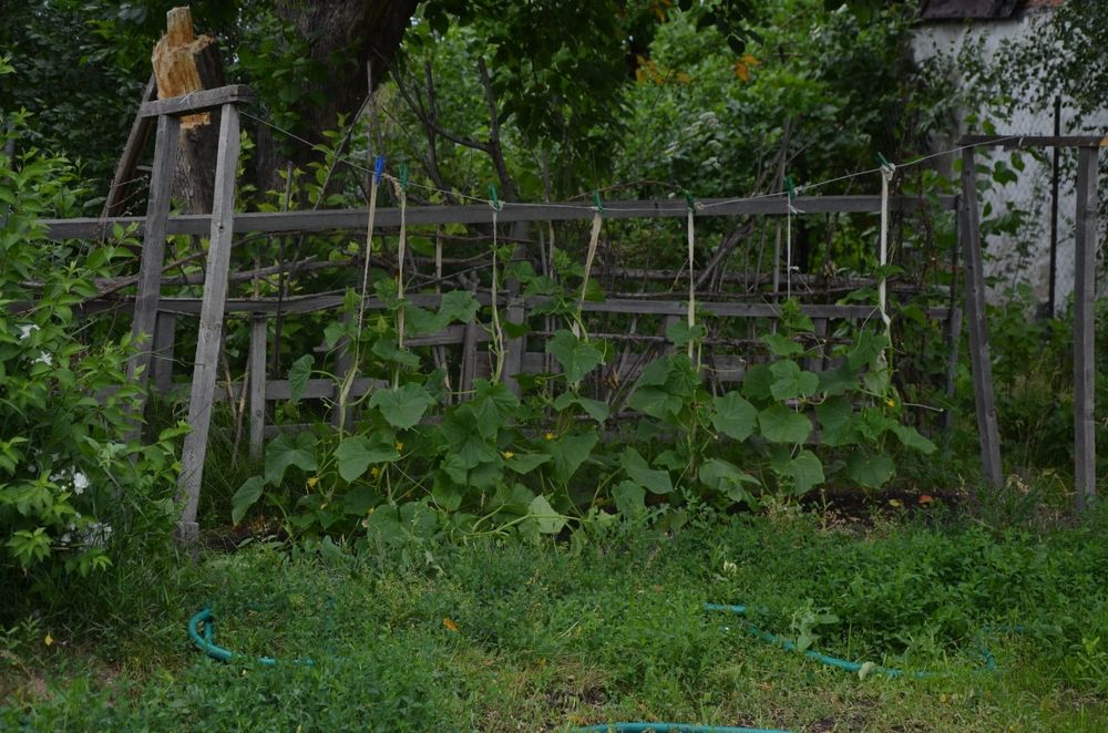 Продам дачу с/т Эдельвейс