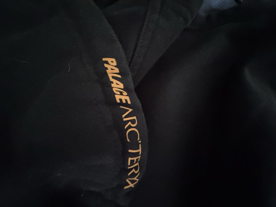 Худи Arc Teryx X palace