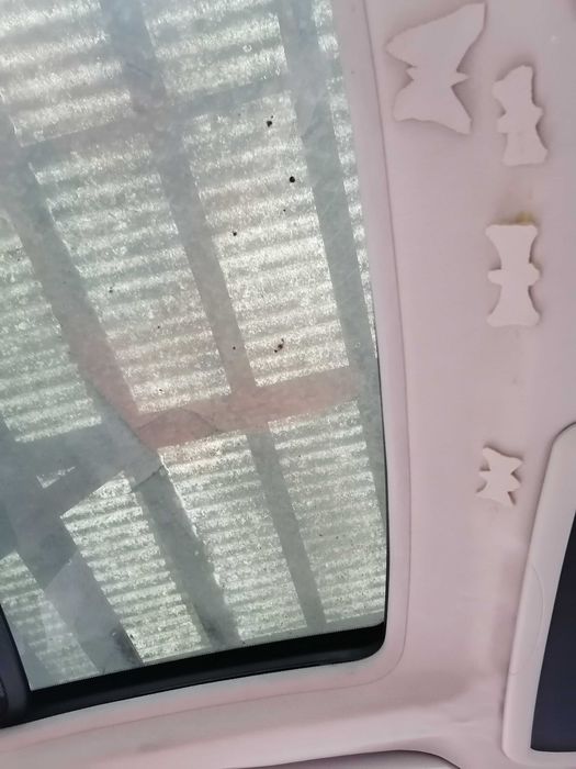 SMART 250 motorina cu 2 locuri