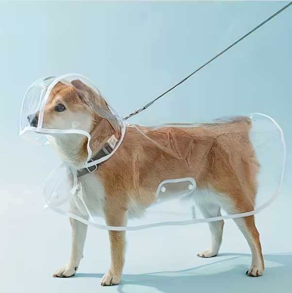 Нов дъждобран за куче