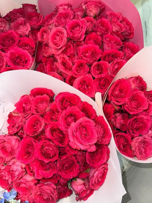 Продам цветы дешево!