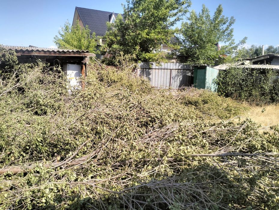 Отдам дрова бесплатно