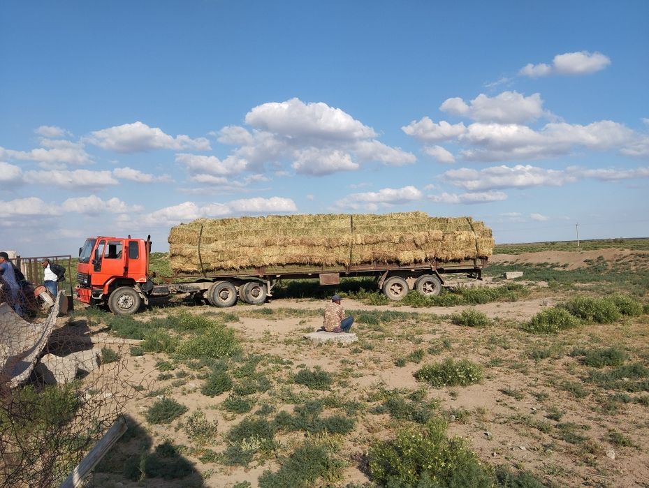 Форд карго тягач сотилади