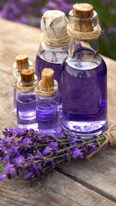 VIP SPA-массаж с выездом |