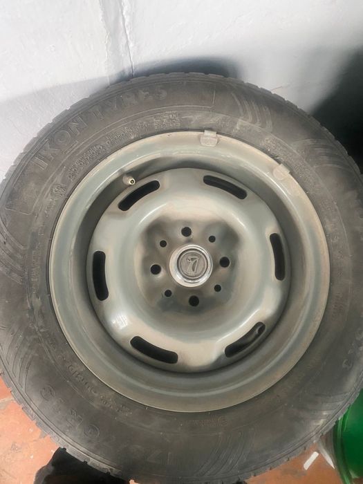 Штампы болото лето