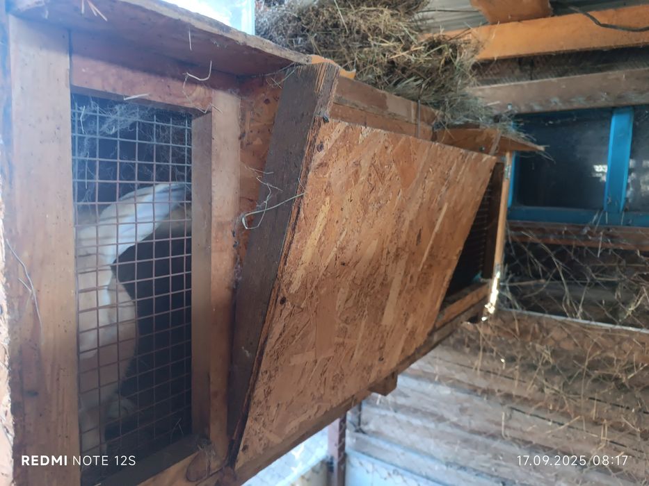 Клетки для кроликов