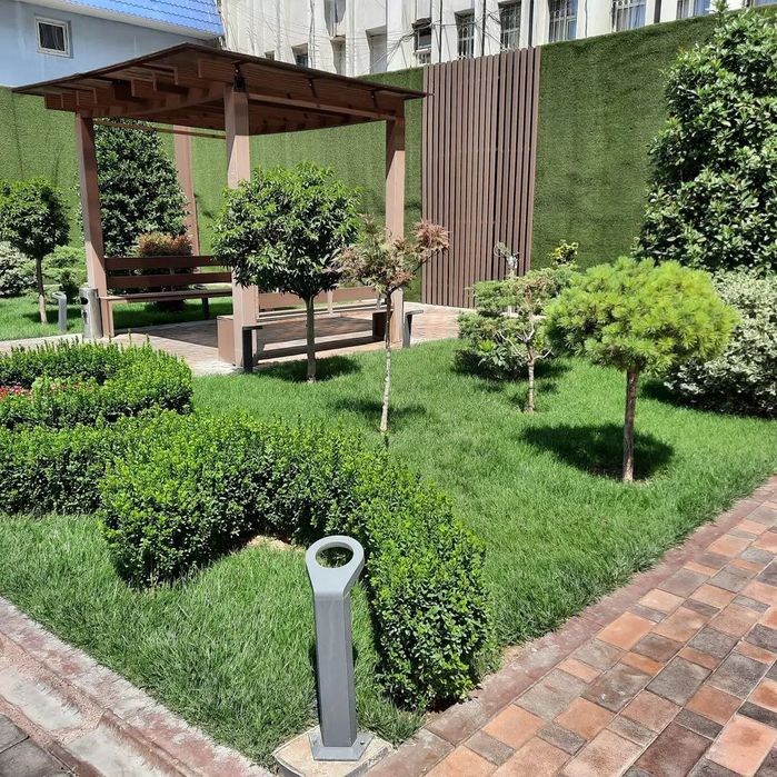 Газон.Полив.Готовый газон.