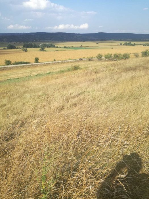 Продава се Парцел в с. Сава, Област Варна - 960 кв.м за 6 €/кв.м - Снимка #1