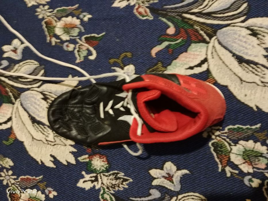 Барцовка вольная борьба