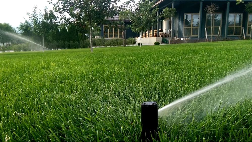 Газон. Озеленение. Автополив.