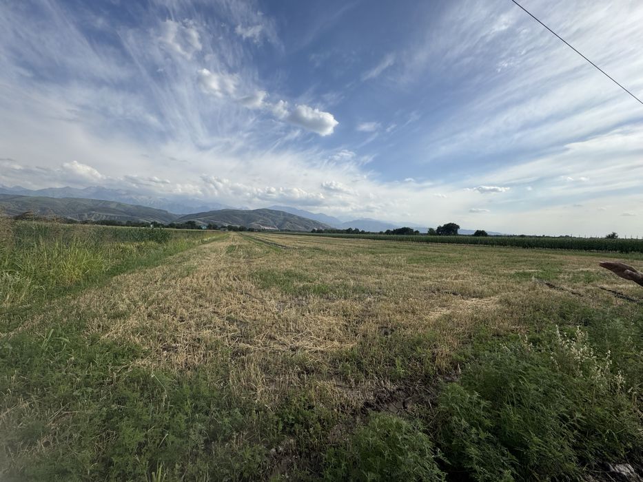 Земельный участок