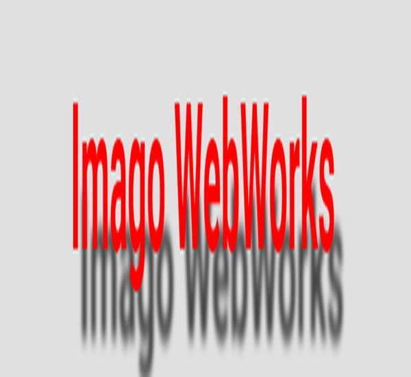 Website si prezenta online