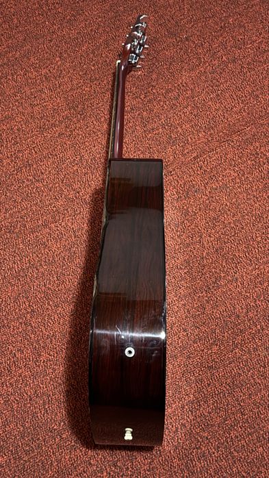 Chitară electro acustica