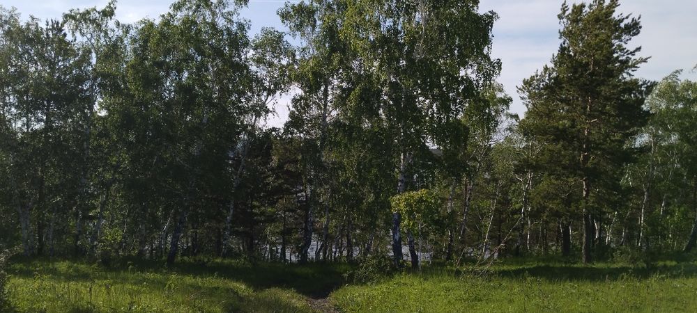 Земельный участок