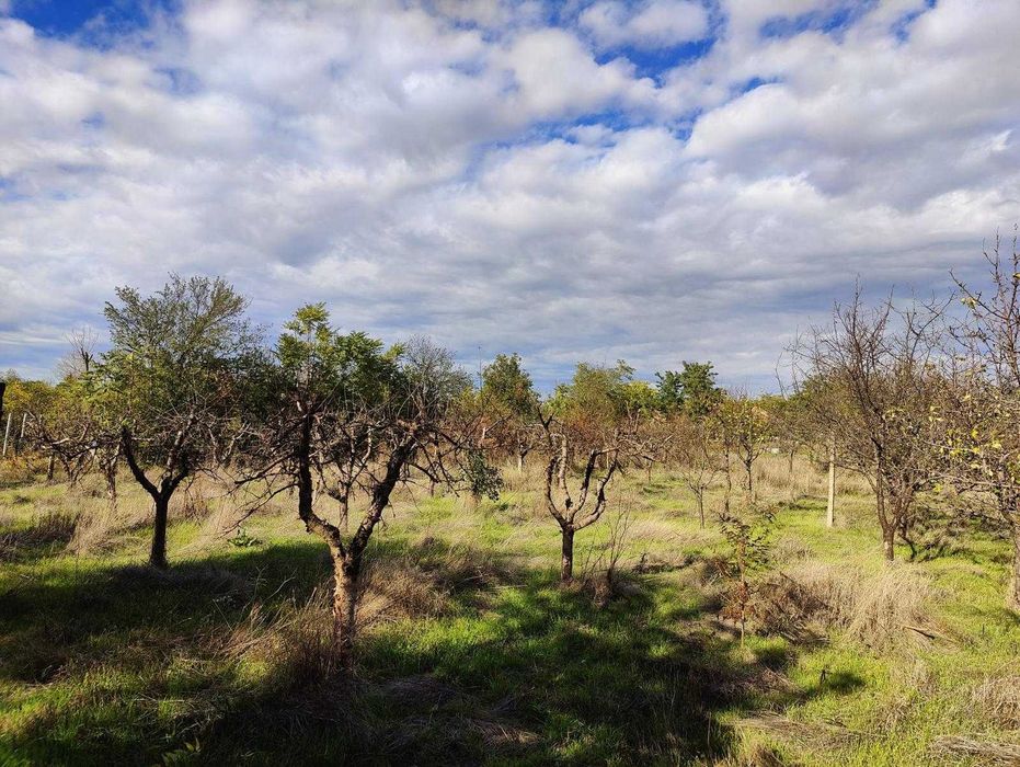 Casa de vanzare-3 camere, anexe si livada