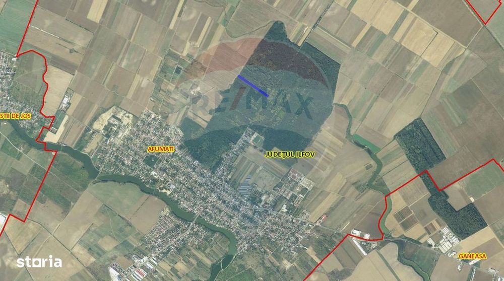 Teren 10,000mp Afumati | Padure | Soseaua Petrachioaia