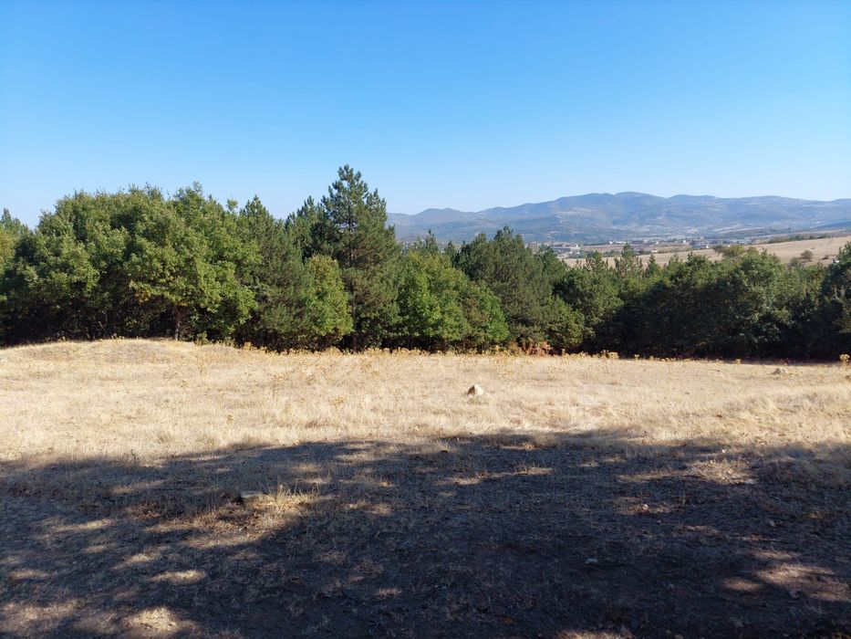 Продава се Парцел в с. Резбарци, Област Кърджали - 2800 кв.м за 18 €/кв.м - Снимка #7