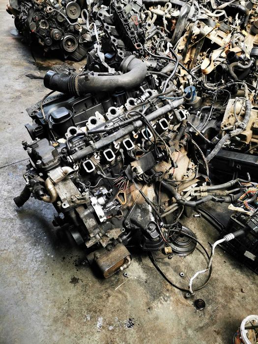 Motor BMW M57, 3000 cmc