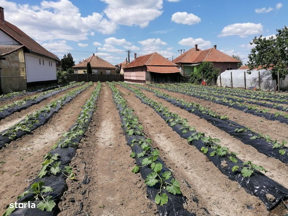 Casa de vanzare in Ungaria - Micherechi (Mehkerek) comunitate română