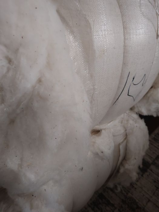 Мақта (көрпеге арналған)