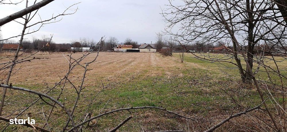 Teren Intravilan Polovragi - Strada Izvoarele