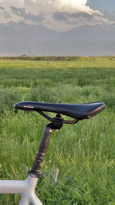 Gray F10 fixed gear
