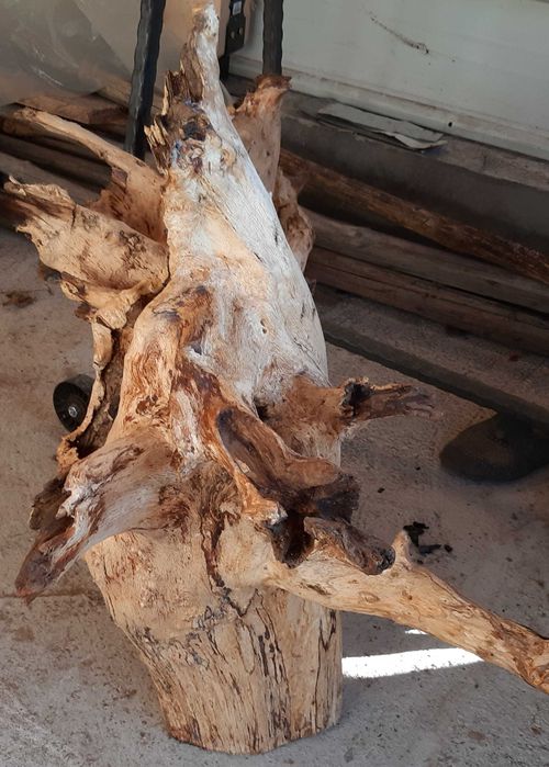 Декорация за градината- 2 корена от Дъб