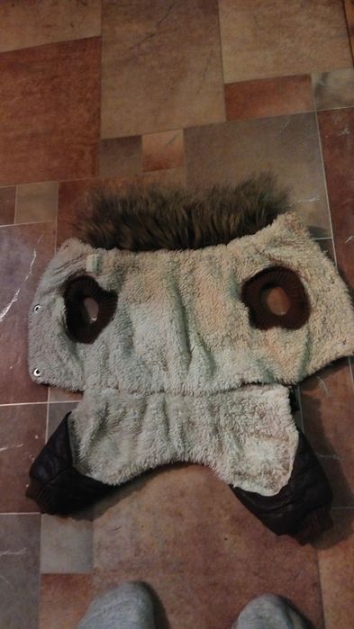 •Одежда для собак мелких пород•