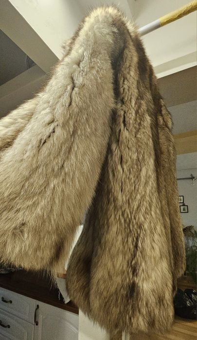 Haina de blana vulpe argintie