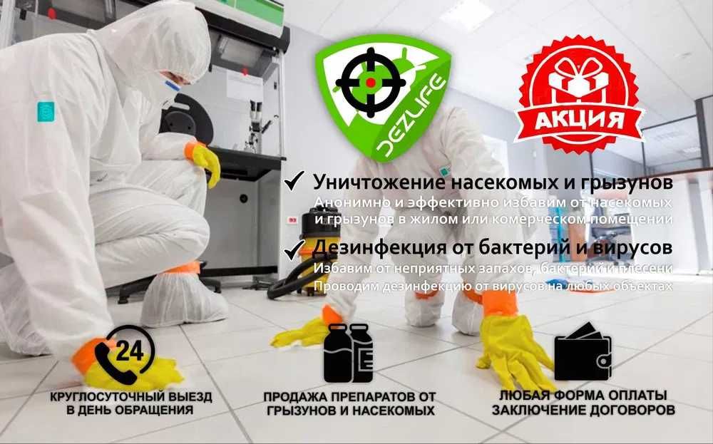 Dezinfeksiya Дезинфекция Уничтожение крыс тараканов клопов клещей klop