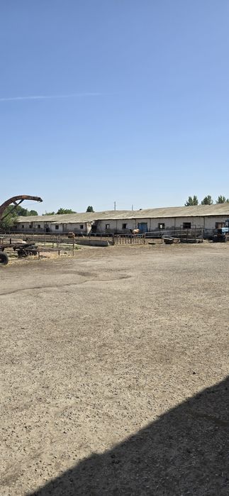 Кибрай 4.гек,биноси билан