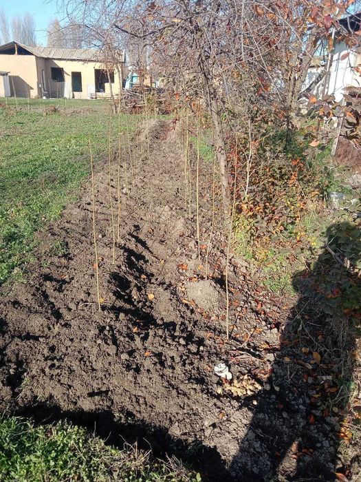 Yer sotiladi srochno