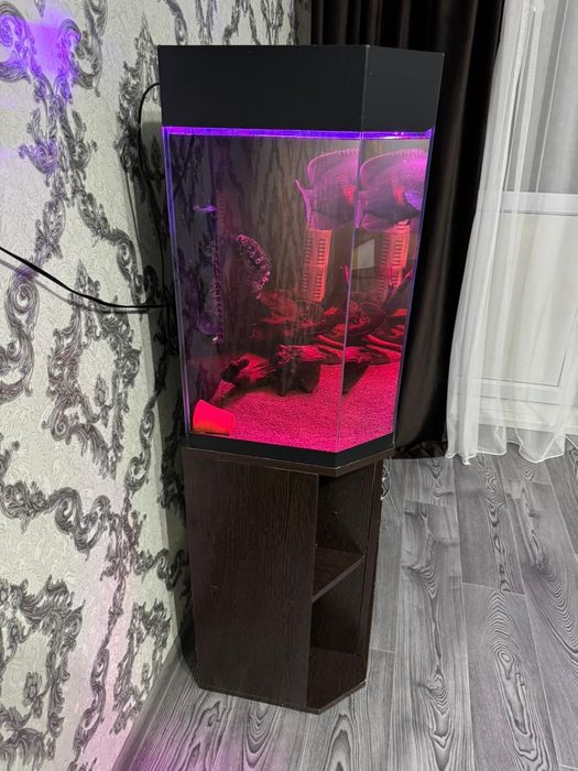Аквариум 150-180литров