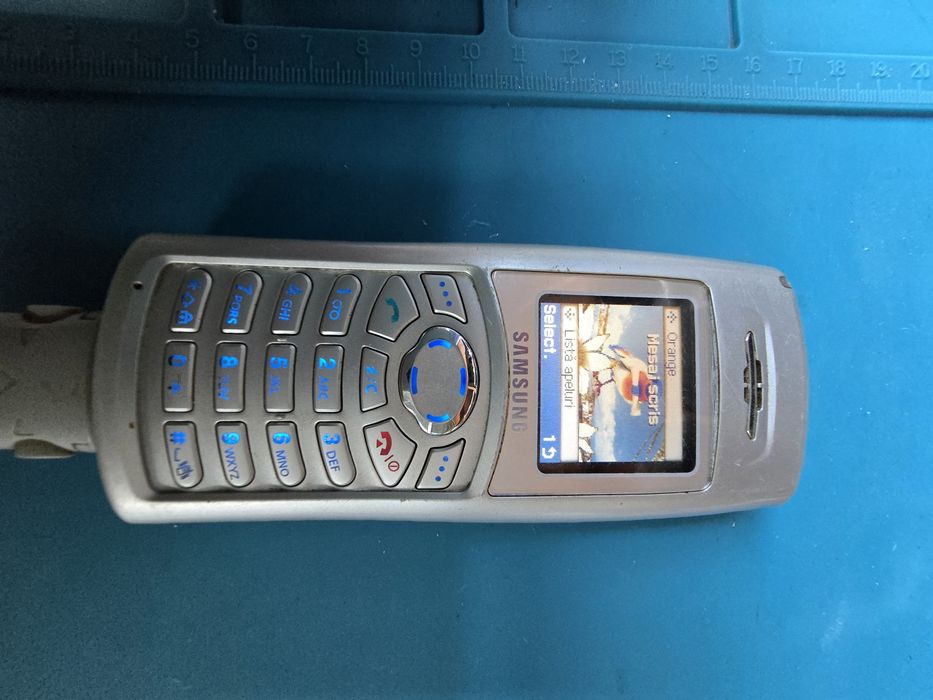 Telefon Colectie: Samsung SGH C100