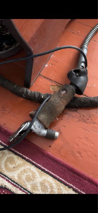 Қой қырқатын машинка