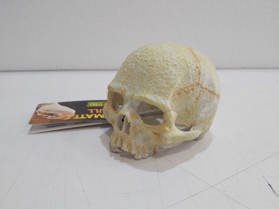 Декорация за терариум