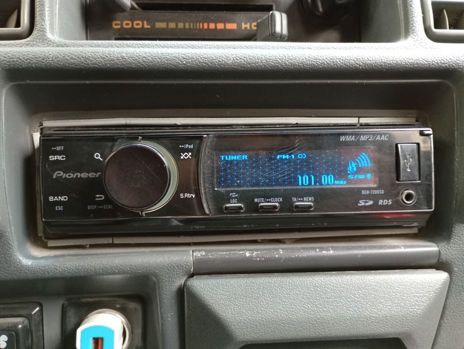 Pioneer delfeen ideal holatda