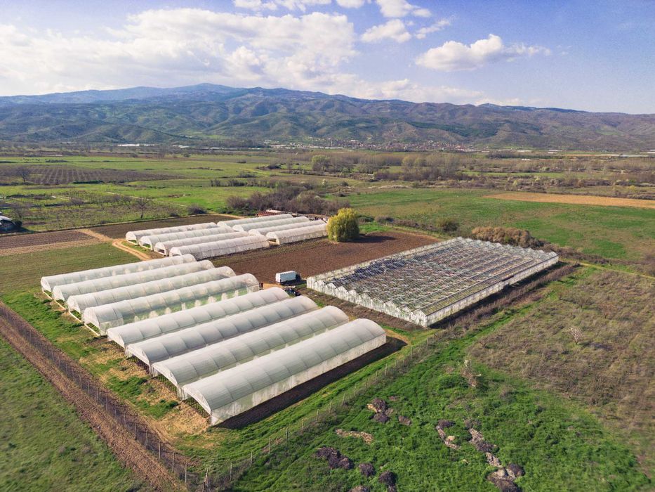 Продава се Земеделски имот в Петрич -  кв.м за 13 €/дка - Снимка #3