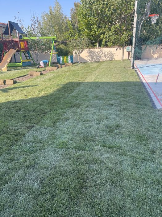 Gazon rulou și plante ornamentale