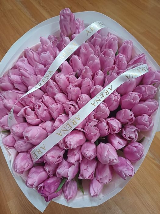 101 тюлпанов свежие