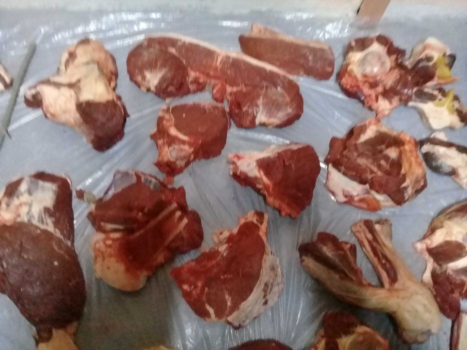 продам откормленый тай