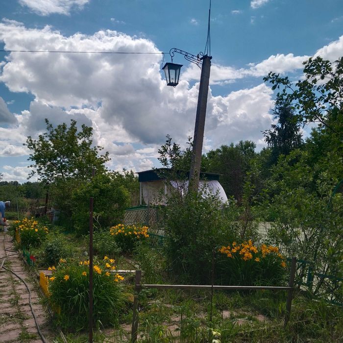 Сдам  дачу на сезон