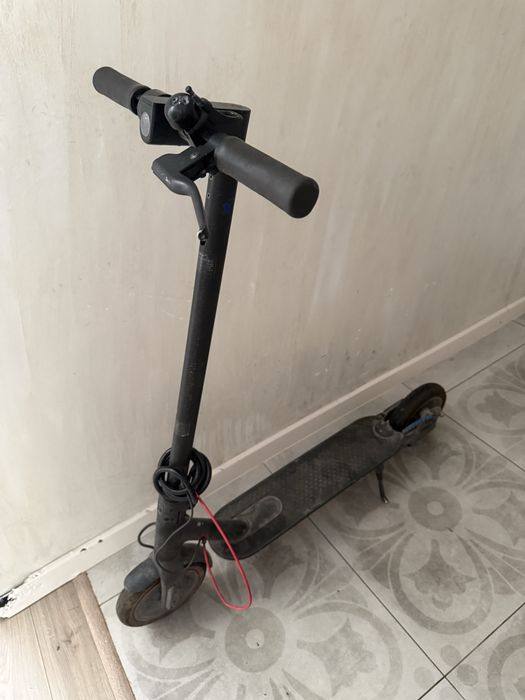 m365 pro оригинал