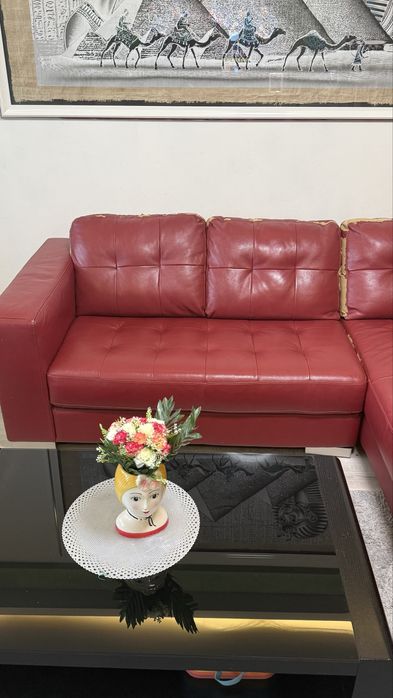 Vand canapea 700 lei