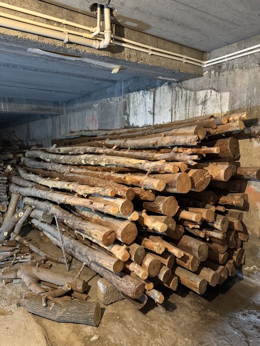 Сосна | тосин | 4.5 метр