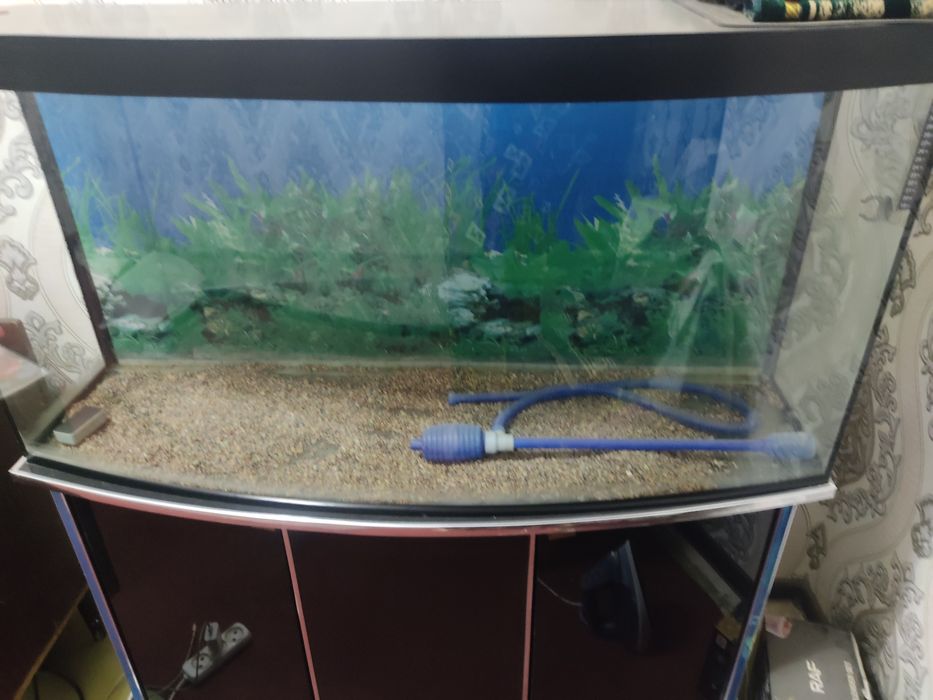 Akvorum holati yahshi 250letr