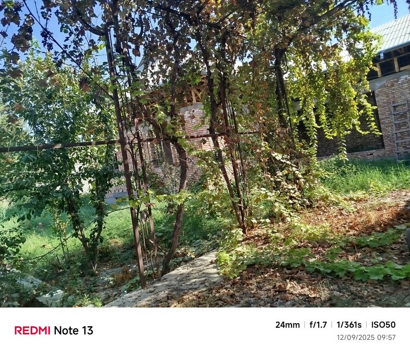 5 sotixli 5 ta xona plus oshxona sotiladi.