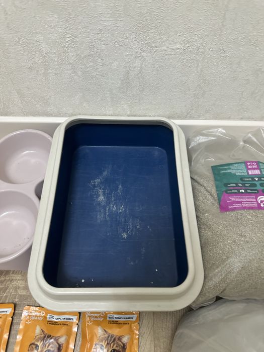 Продам набор для котенка