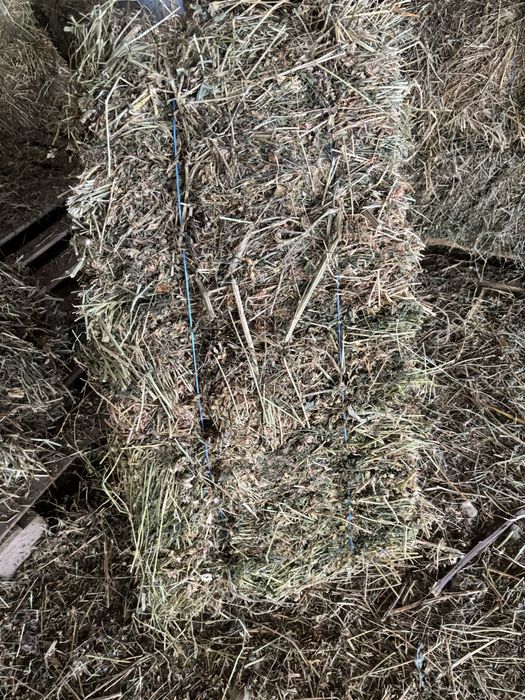 Baloti dreptunghiulari lucerna